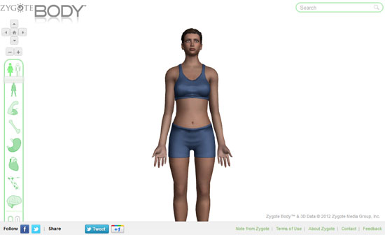 Zygote Body,在线浏览3D人体结构